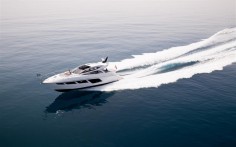 Predator 57图集